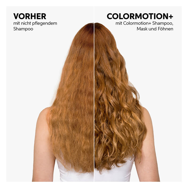 Color Motion + Shampoo 1000ml