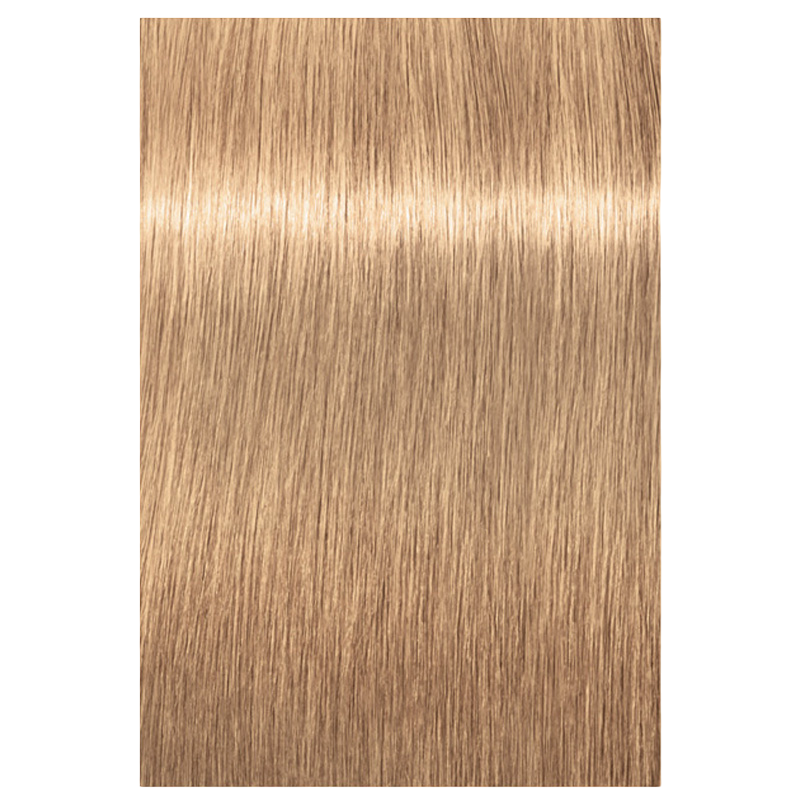 10-46 Ultrablond Beige Schoko Igora Royal Highlifts