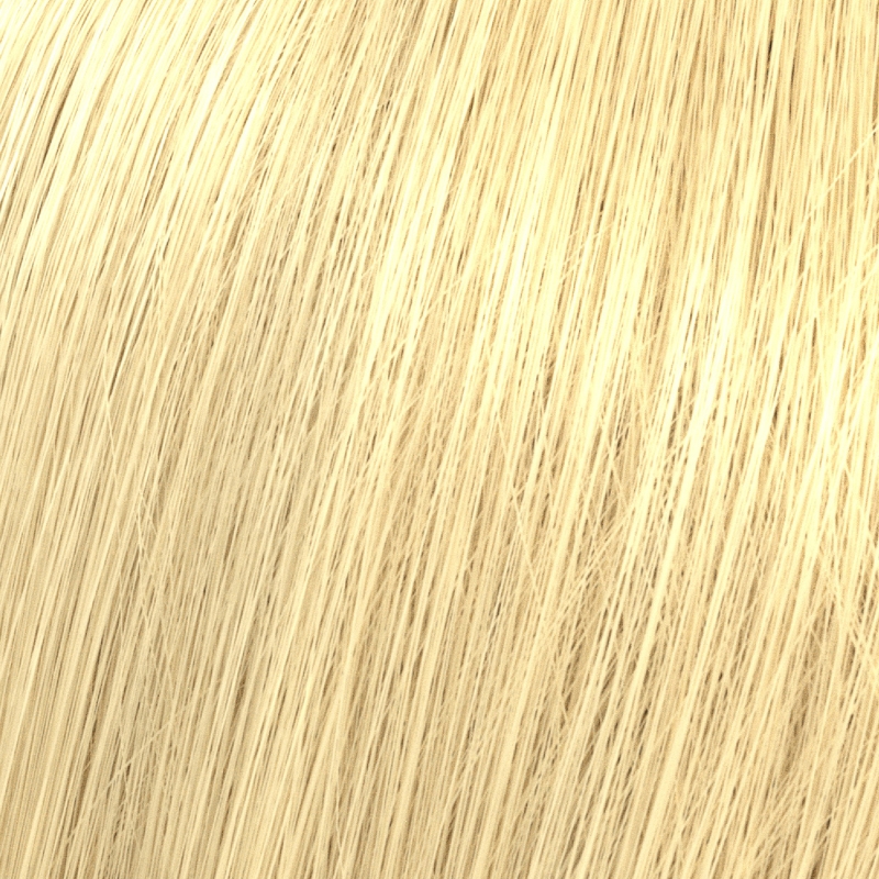 Color Xpress Vegan 10 hell-lichtblond