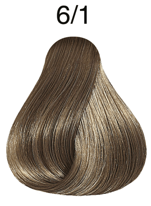 Rich Naturals 6/1 dunkelblond asch