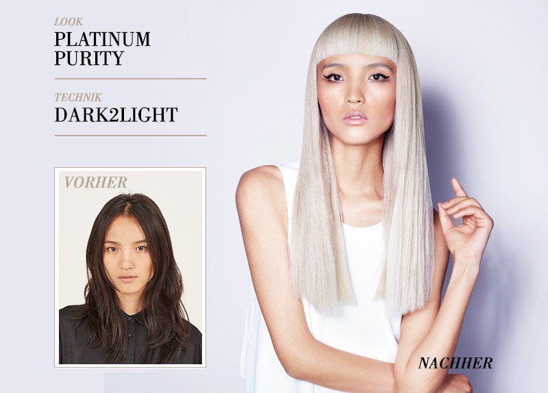 SKP_ICT_BLONDME_Colour_Techniques_PlatinumPurity_800x574_DE