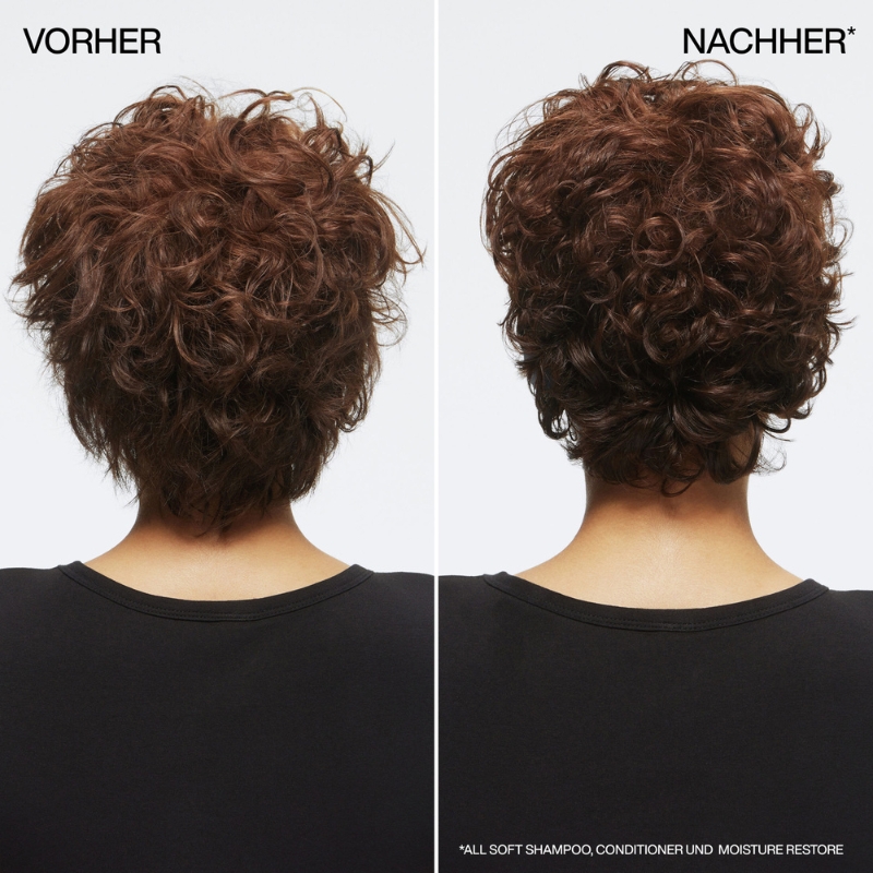 All Soft Moisture Restore Leave-In Treatment_2