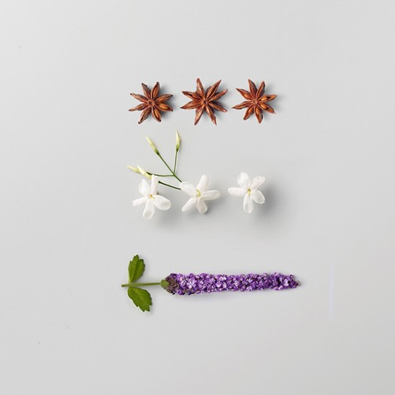 Ashita Supreme Anti-Hairfall Serum