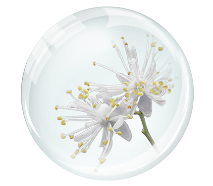 Goldwell Scalp Specialist Wirkung