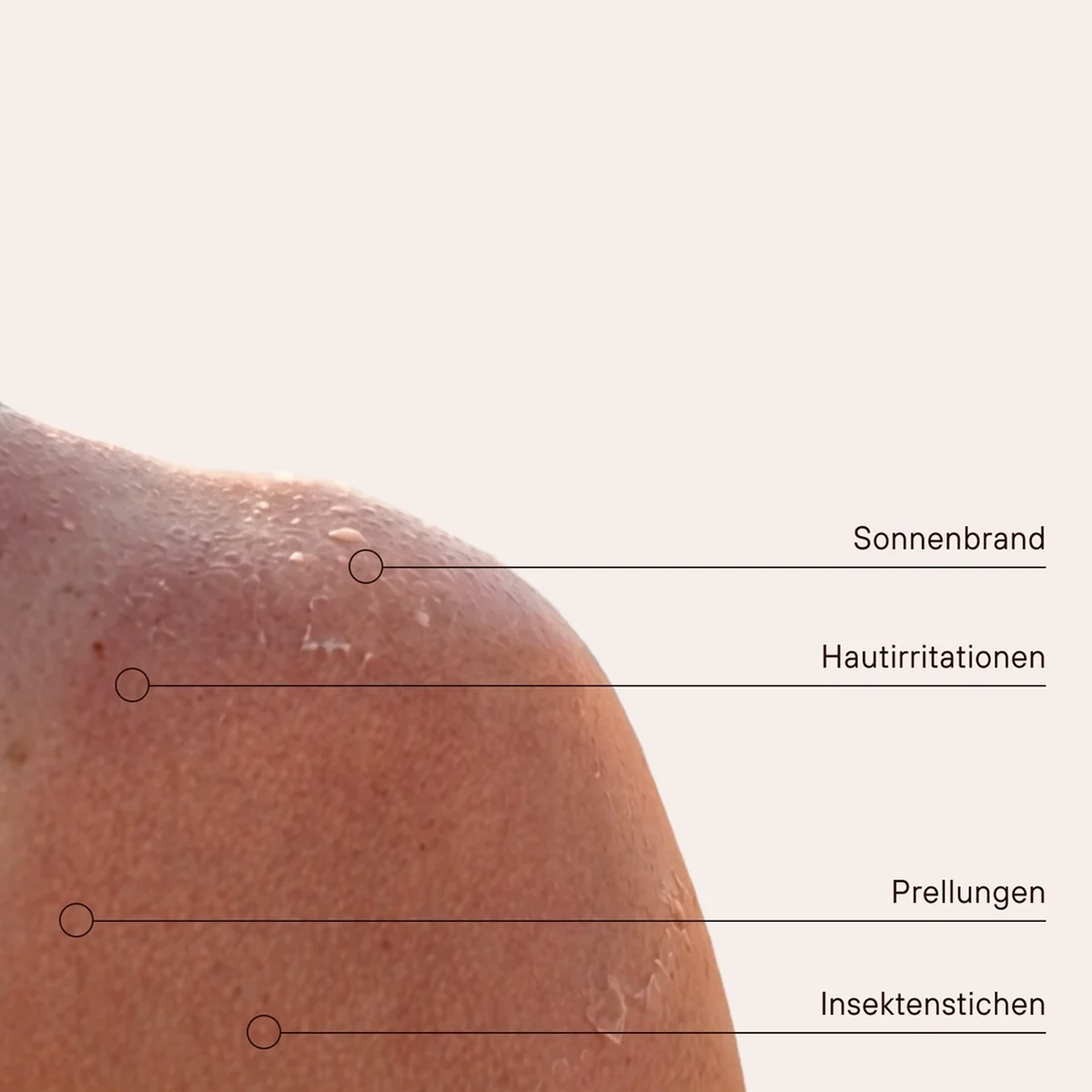 Dr. Niedermaier Skin Repair Spray