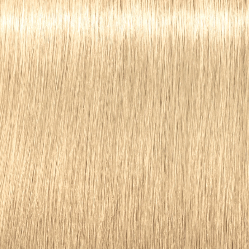 Igora Vibrance 10-51 Gold Cendré Soft Toner - 60ml