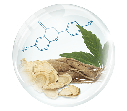 Goldwell Scalp Specialist Dandruff Shampoo