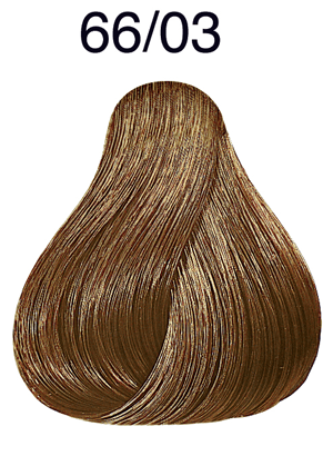 Color Touch Plus 66/03 dunkelblond intensiv natur-gold