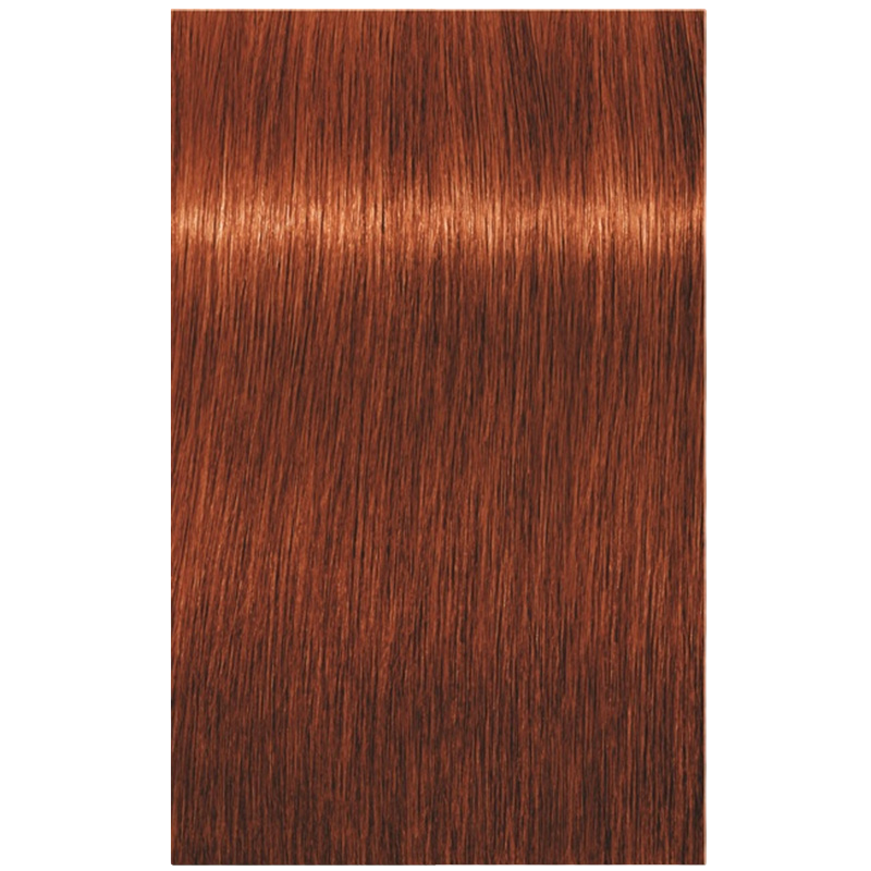 6-77 Dunkelblond Kupfer Extra Igora Royal 6-77 Dunkelblond Kupfer Extra Igora Royal