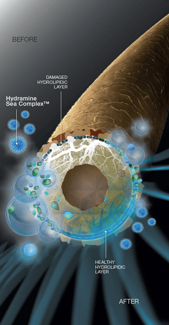 Hydramine Sea Complex