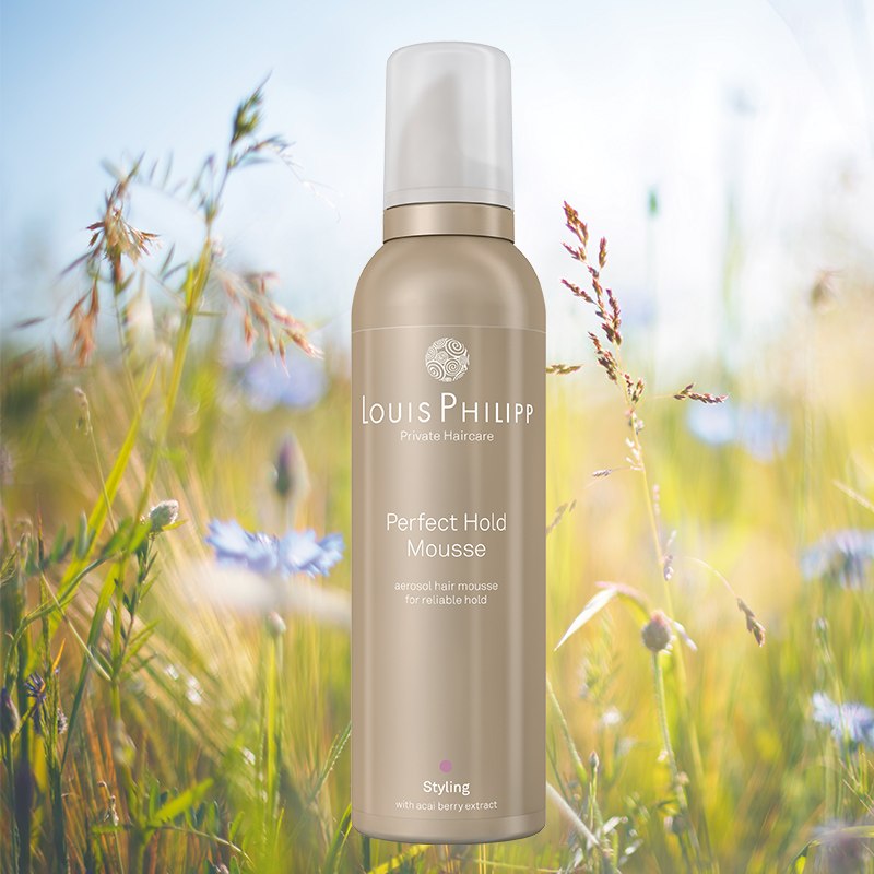Perfect Hold Mousse von Louis Philipp