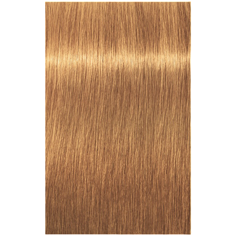 9-60 Extra Hellblond Schoko Natur Igora Royal Absolutes