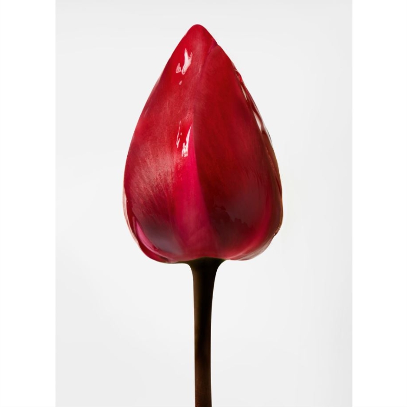 Essence Absolue Oil-In-Cream - 150ml