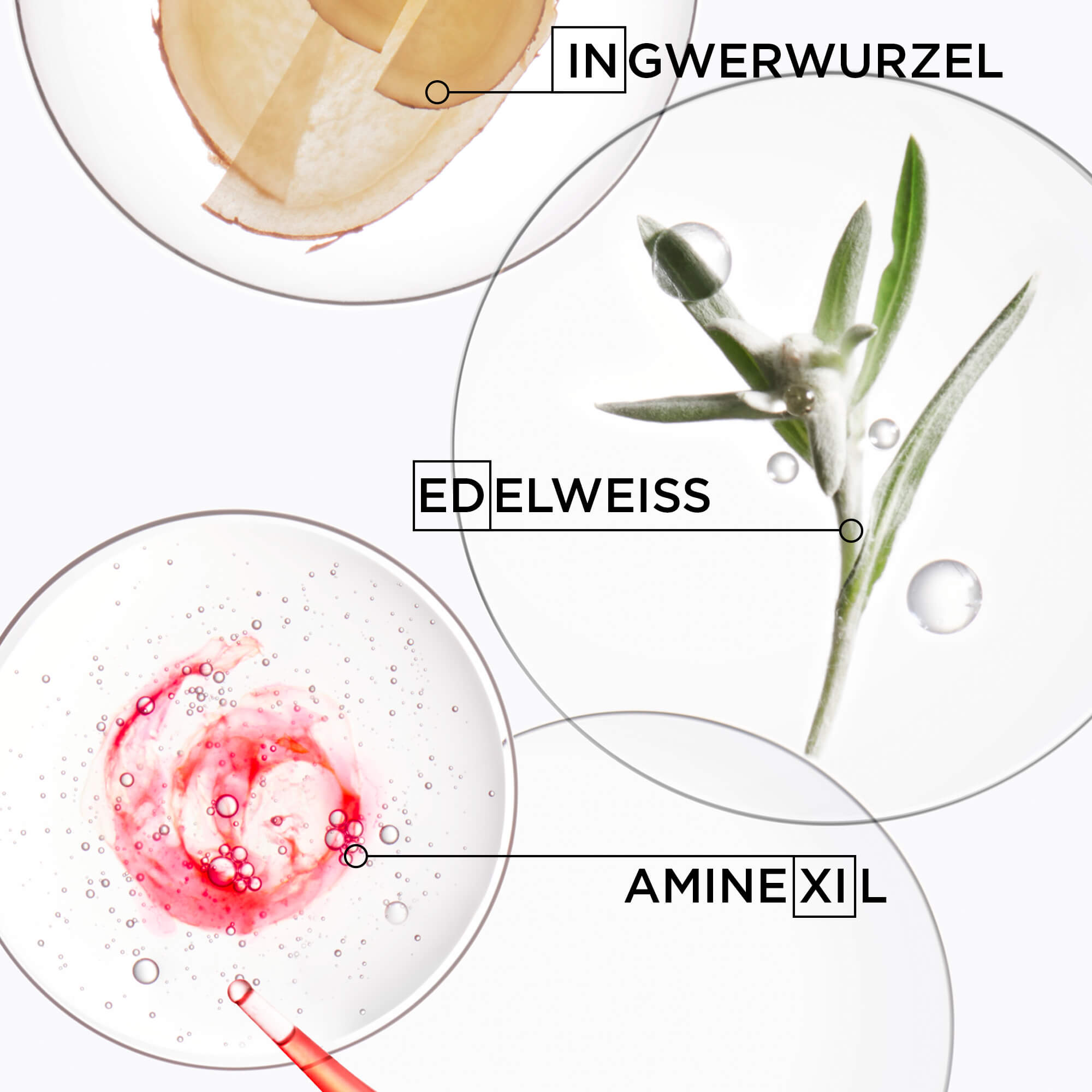 Genesis Pflegetrio - 600ml