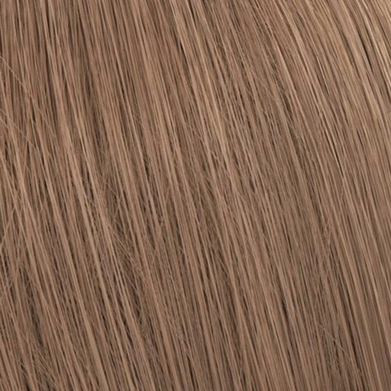 Color Xpress Vegan 8/31 hellblond gold-asch