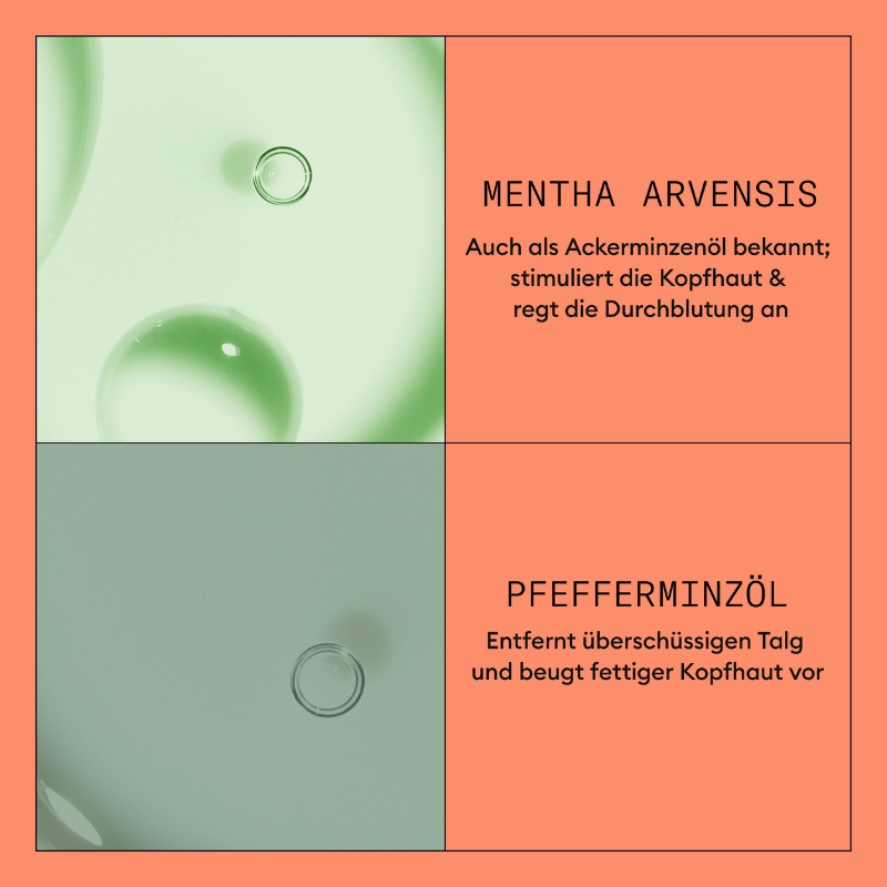 Scalp + Hair Conditioner System 4 - 300ml