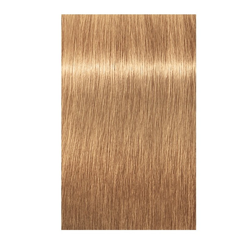 Igora Royal Absolutes Age Blend 9-560 Extra Hellblond Gold Schoko 