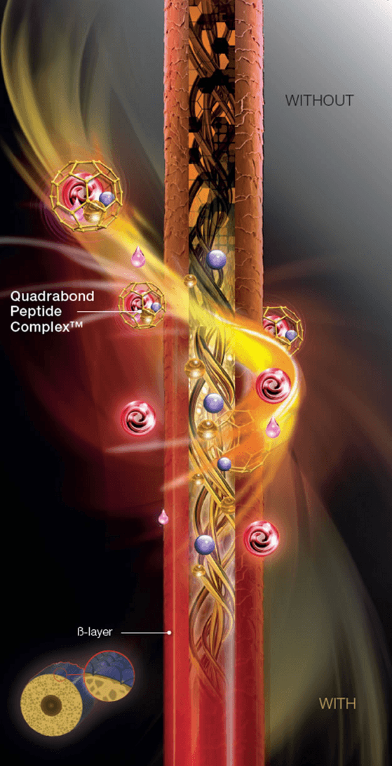 Quadrabond Peptide Complex Quadrabond Peptide Complex