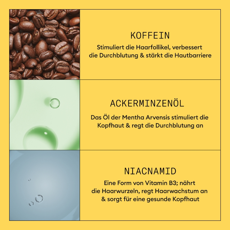 Treatment für Haar und Kopfhaut