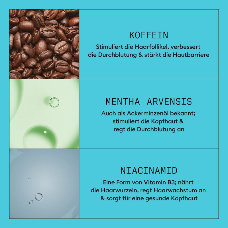 Leave-In Mousse für gefärbtes Haar