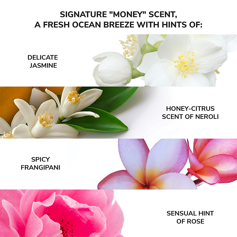 Money Laundering Conditioner