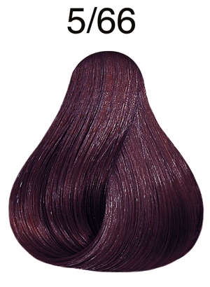 Color Touch Vibrant Reds 5/66 hellbraun violett-intensiv