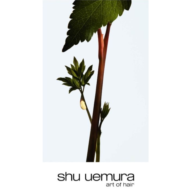 Ashita Supreme Treatment - 200ml