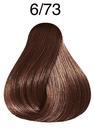 Color Touch Deep Browns 6/73 dunkelblond braun-gold