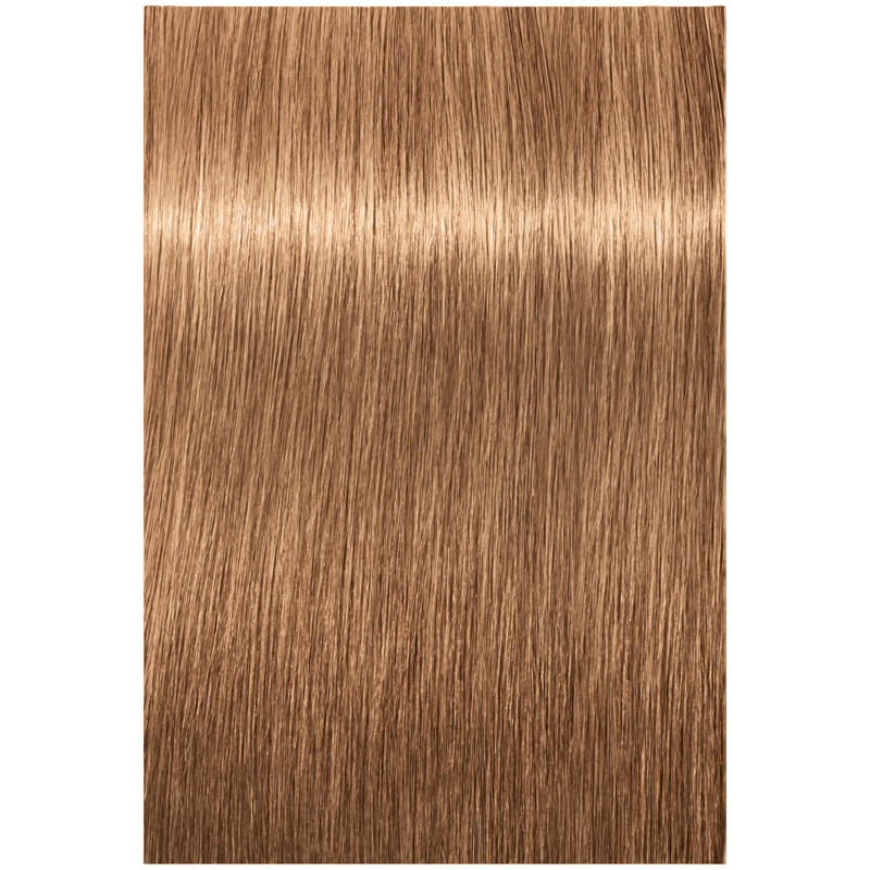 8-65 Hellblond Schoko Gold Igora Color10