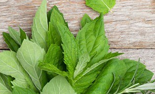 John Masters Organics John Masters Organics