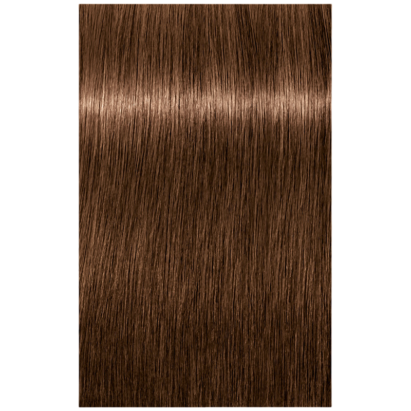 Igora Royal 6-65 Dunkelblond Schoko Gold