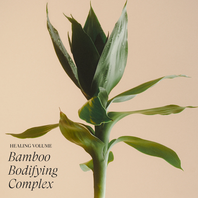 Healing Volume Shampoo (300 ml)