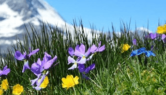 Ionia Azuré natürliche Hautpflege