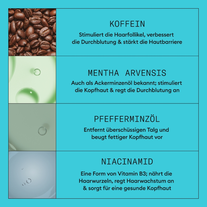 Starter Set 3 - 350ml