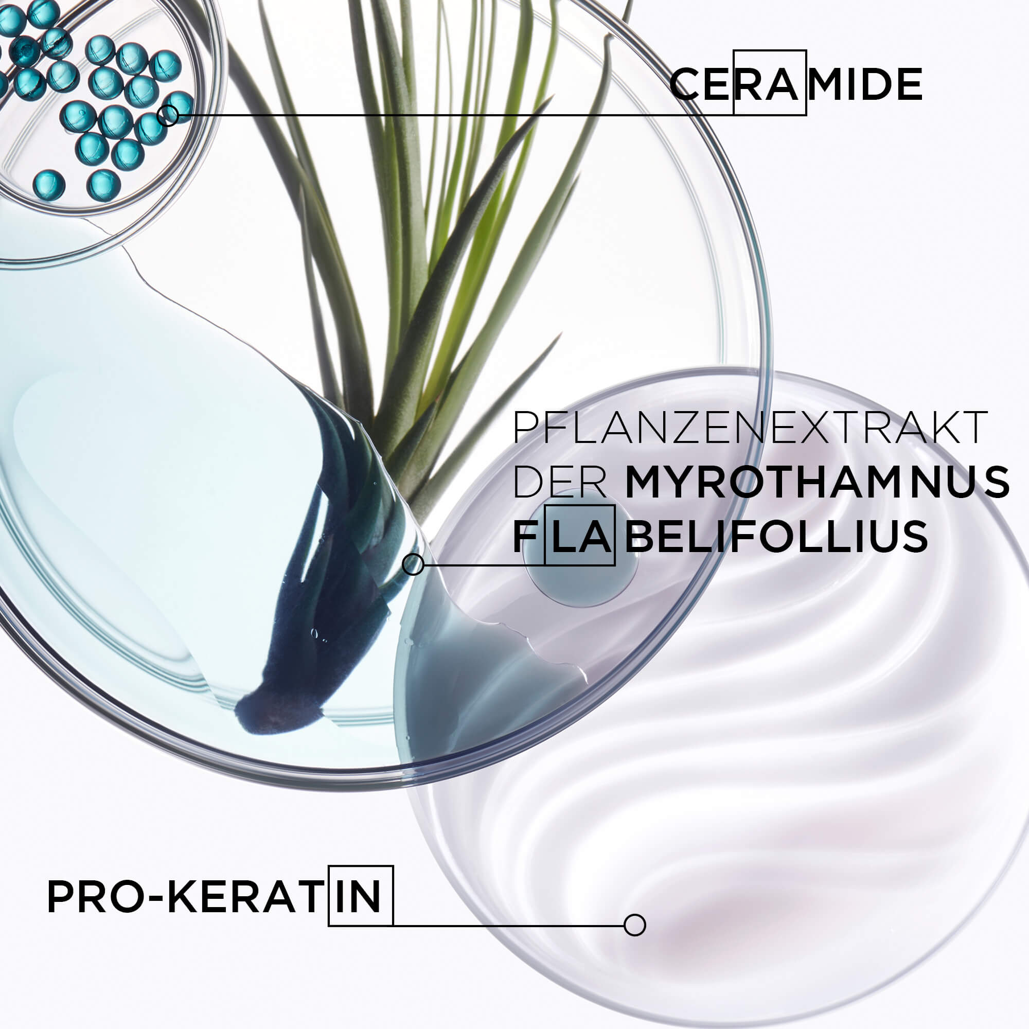 Resistance Force Architecte Pflegetrio - 600ml