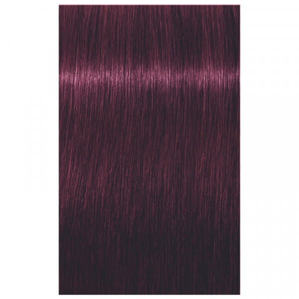 6-99 Dunkelblond Violett Extra Igora Royal