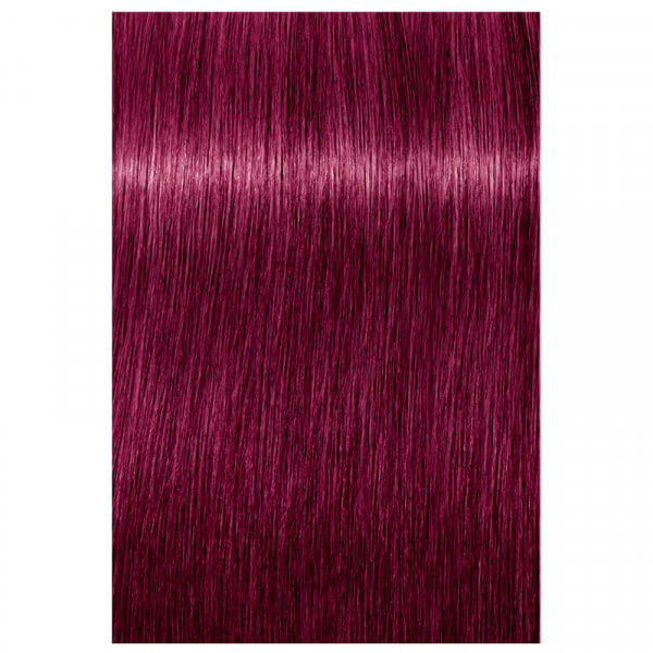 9-98 Extra Hellblond Violett Rot Igora Royal