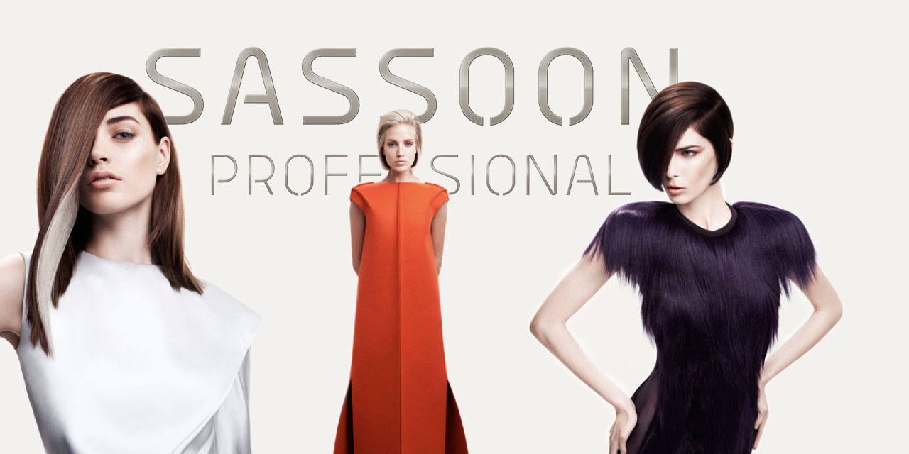 Sassoon Hair Products